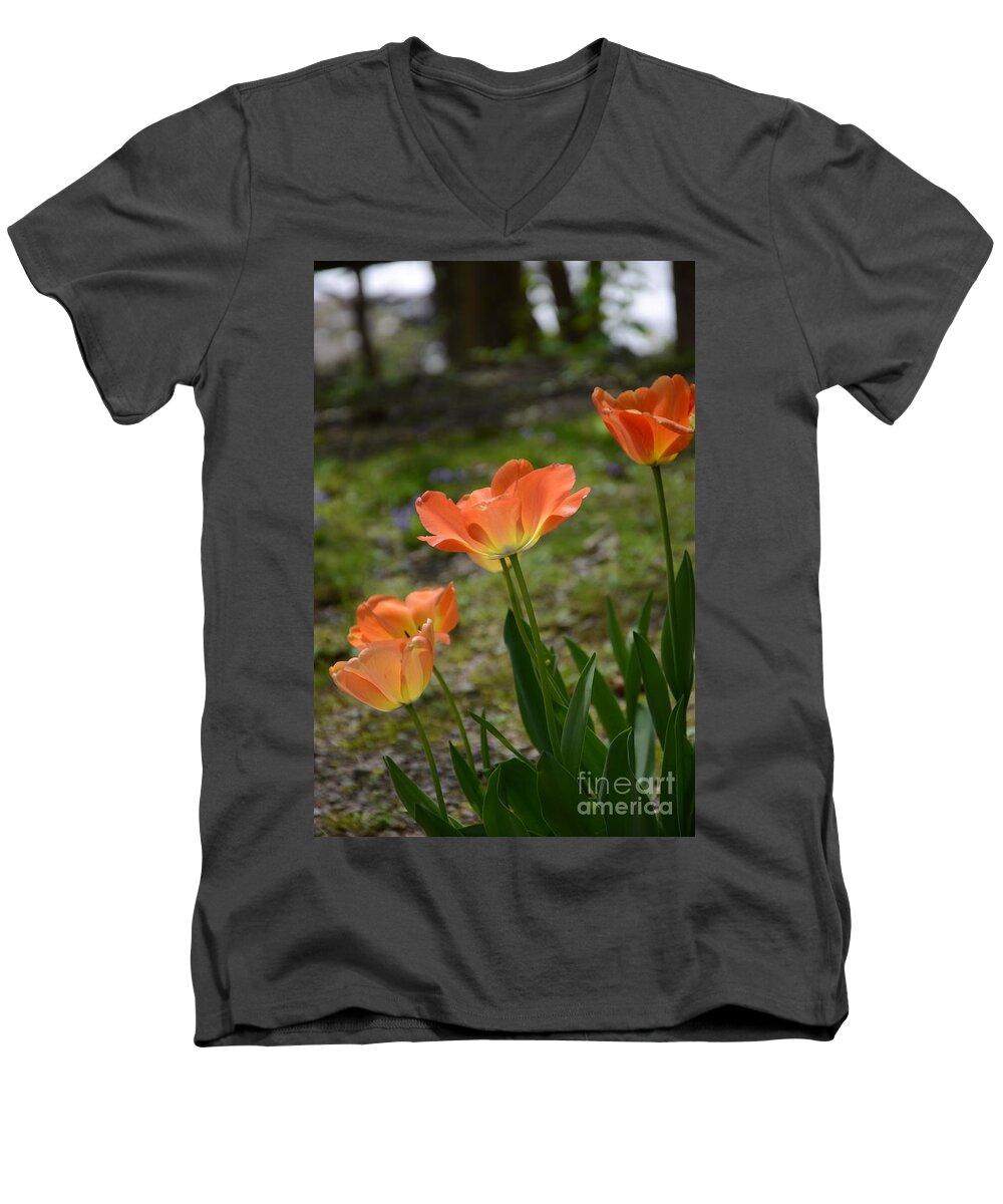 Tulips Men's V-Neck T-Shirt featuring the photograph Peach Tulips by Robert Meanor