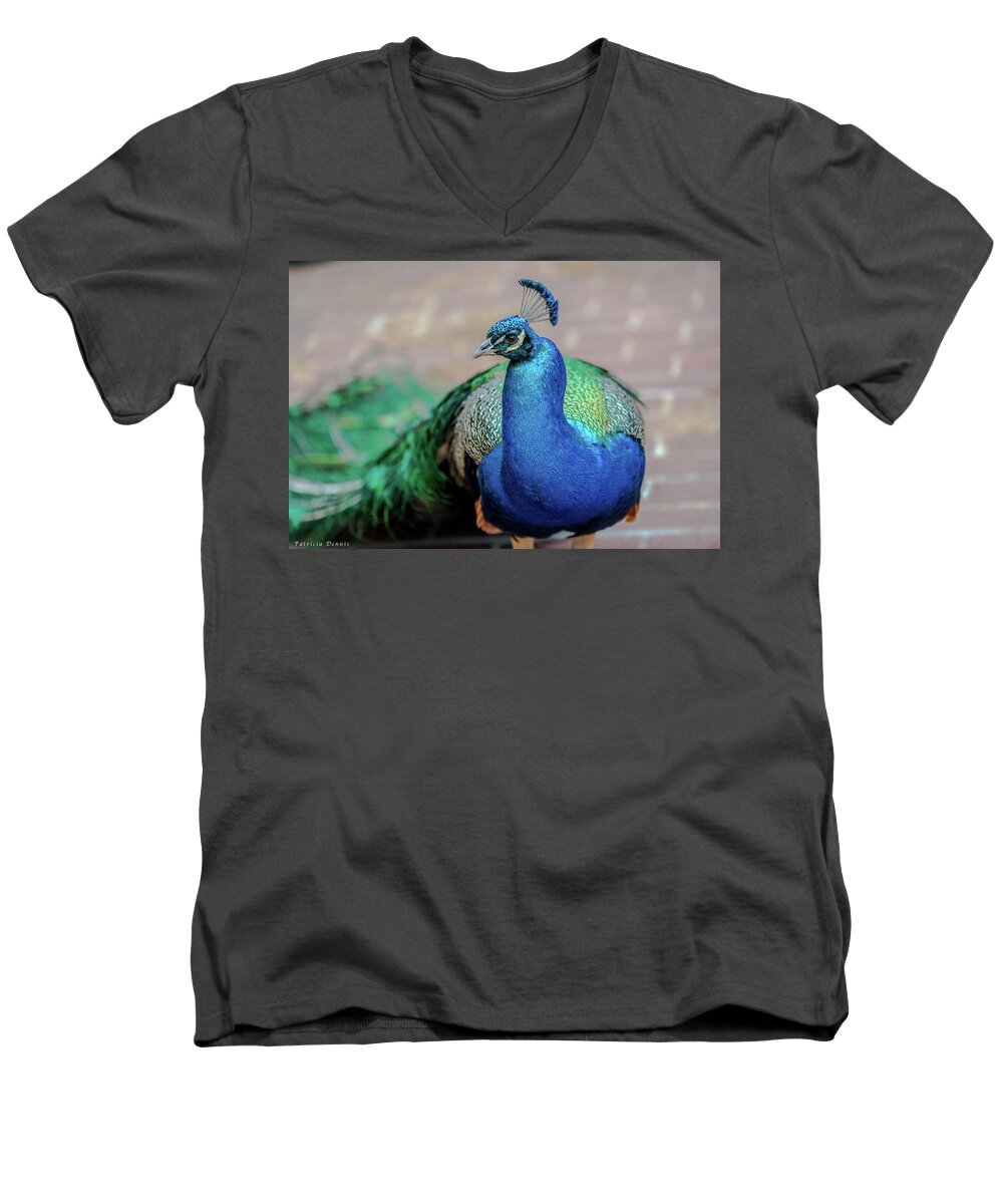 Wings Men's V-Neck T-Shirt featuring the photograph Peacock study by Patricia Dennis