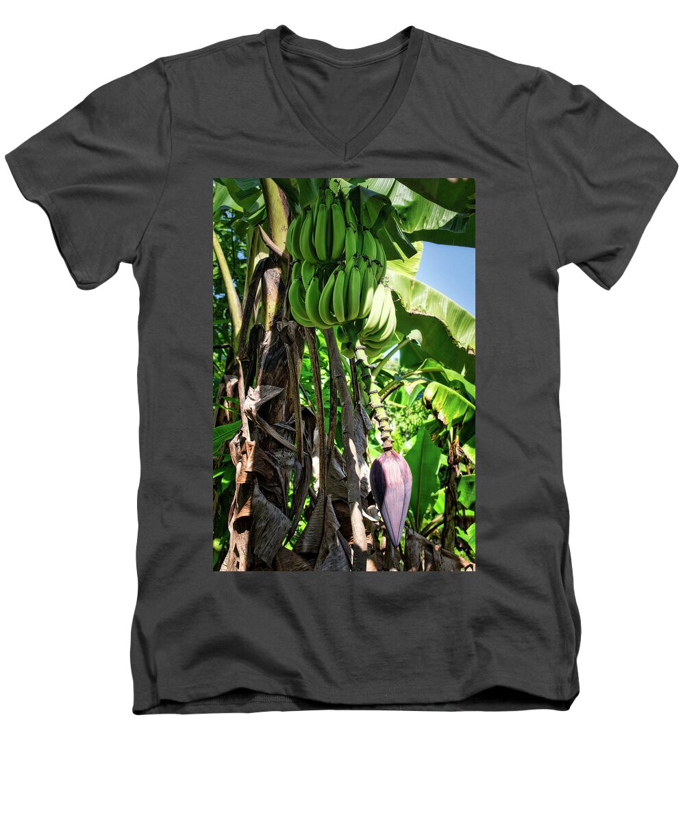 Plantain Men's V-Neck T-Shirt featuring the photograph Plantains by Portia Olaughlin
