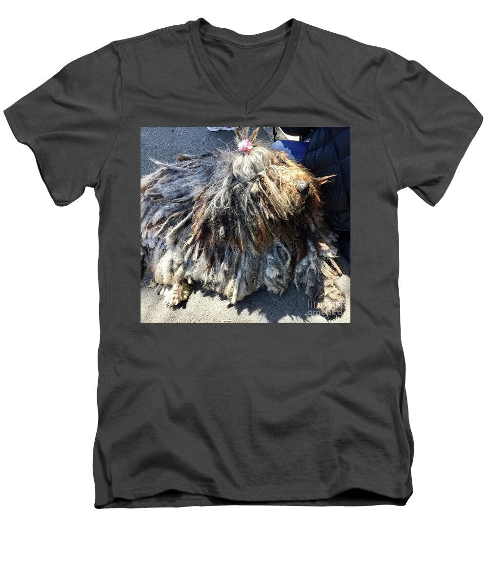 Rasta Men's V-Neck T-Shirt featuring the photograph Rasta Doggie by J Doyne Miller