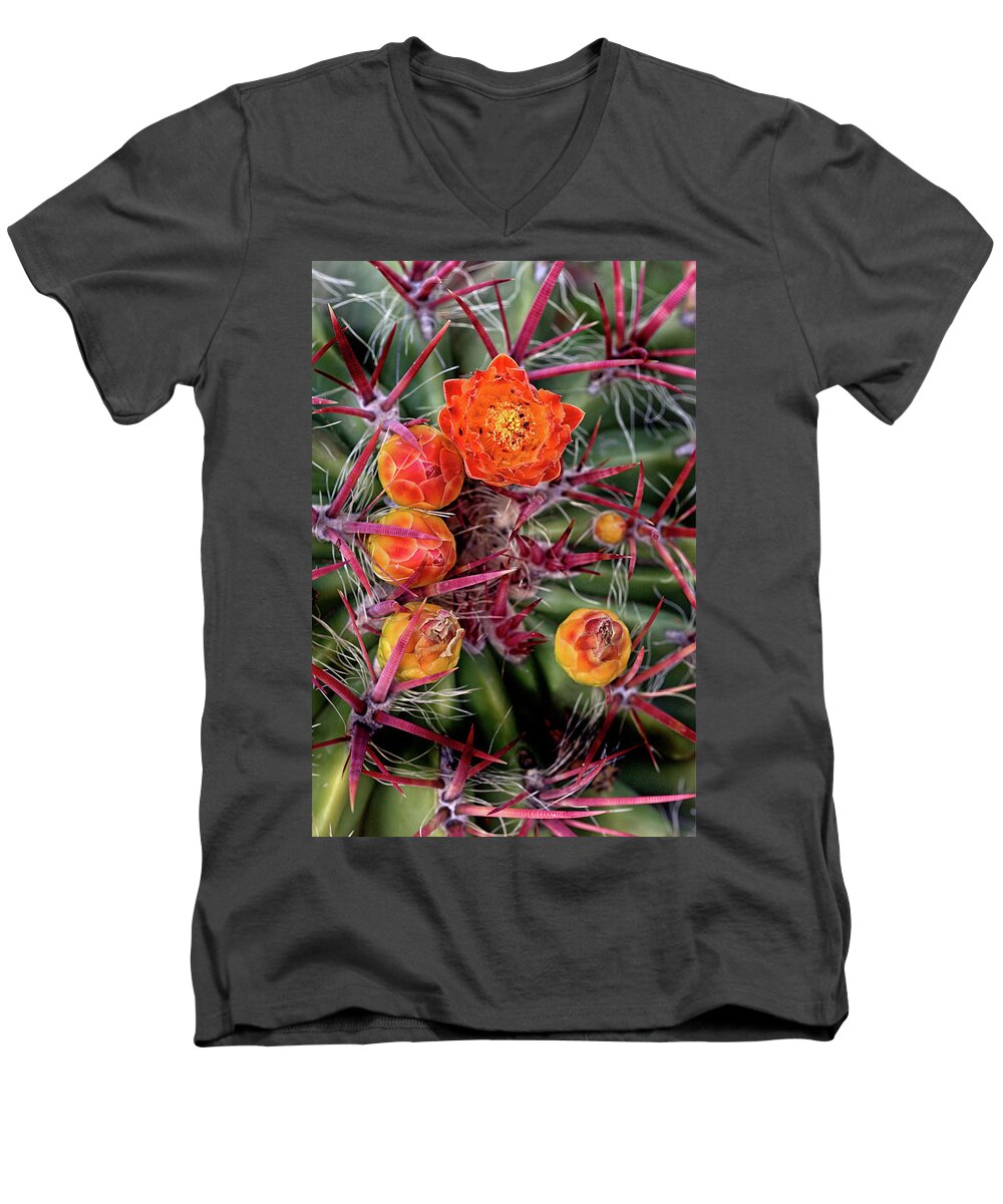 Cactus Men's V-Neck T-Shirt featuring the photograph Red Cactus Blossoms by Bob Falcone