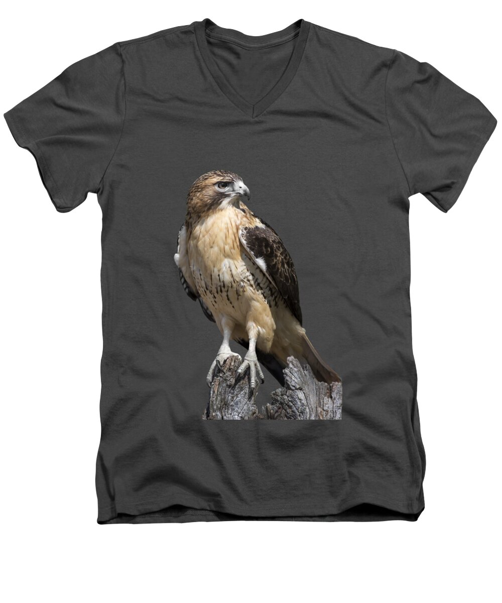 Red Tailed Hawk Men's V-Neck T-Shirt featuring the photograph Red Tailed Hawk by Dale Kincaid
