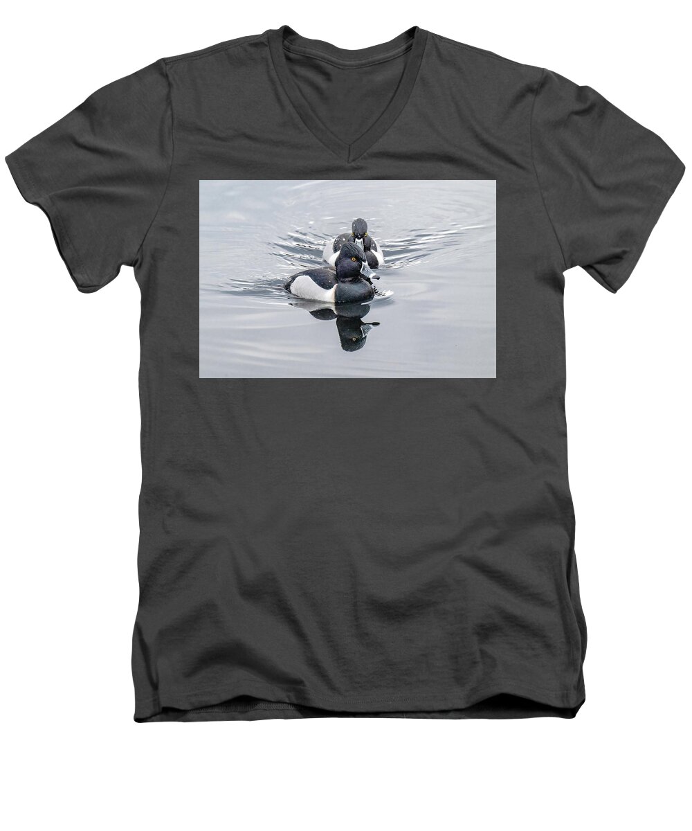 Ringed Neck Men's V-Neck T-Shirt featuring the photograph Ringed Neck Duck Pair by Jerry Cahill