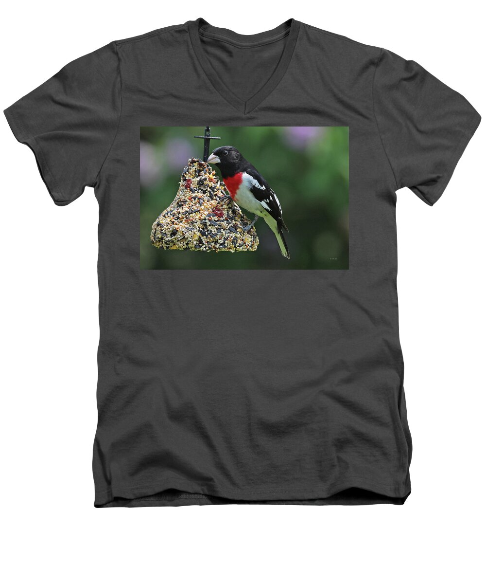 Wild Birds Men's V-Neck T-Shirt featuring the photograph Rose Breasted Grosbeak 3 by Terry Cork