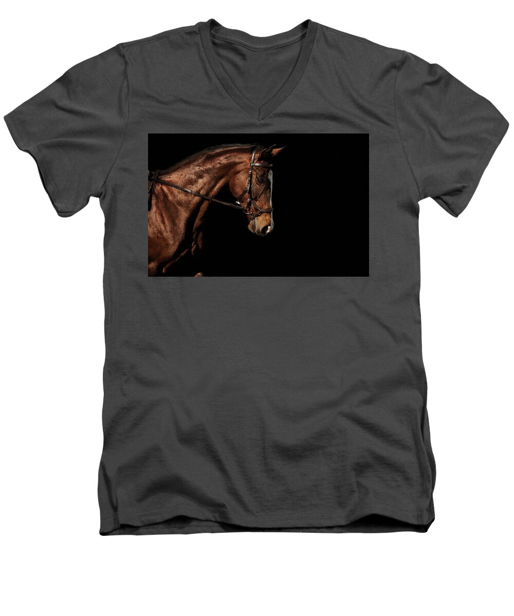  Men's V-Neck T-Shirt featuring the photograph Roxy by Ryan Courson
