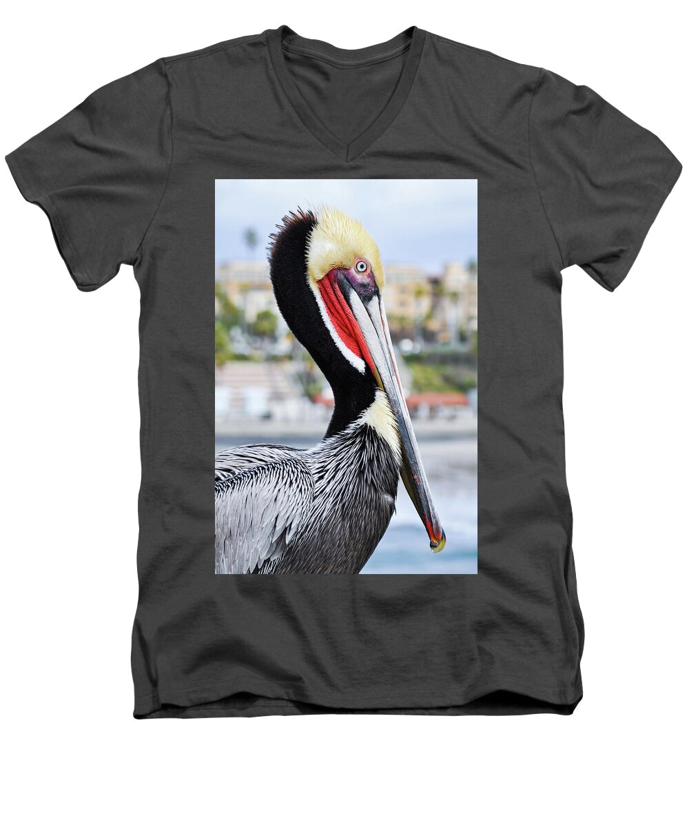 Pelican Men's V-Neck T-Shirt featuring the photograph San Diego Pelican by Kyle Hanson
