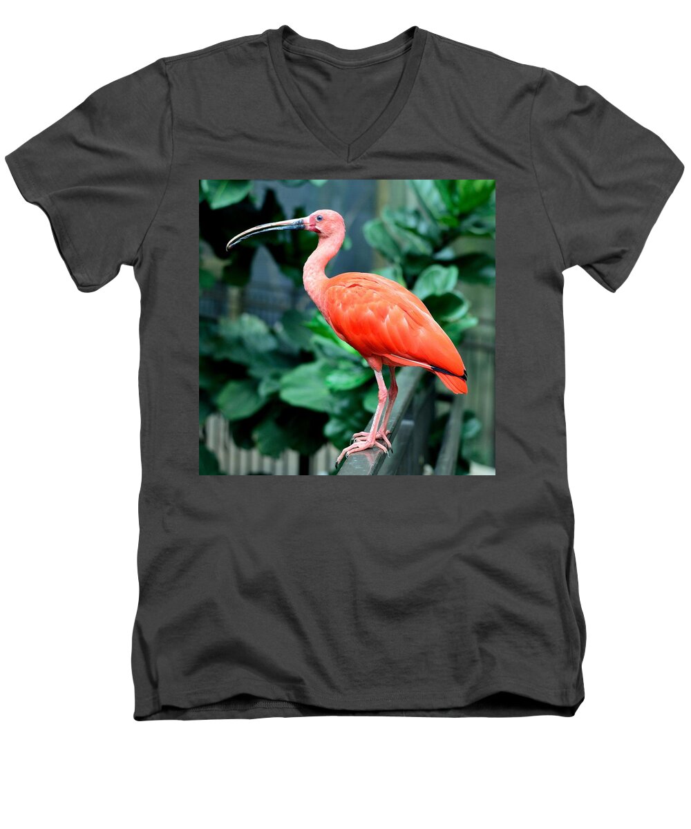 Ibis Men's V-Neck T-Shirt featuring the photograph Scarlet Ibis by Les Classics