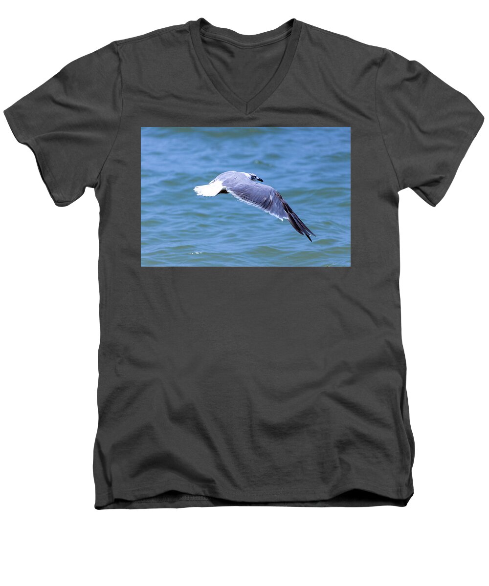 Seagull Men's V-Neck T-Shirt featuring the photograph Seagull Trolling by Blair Damson