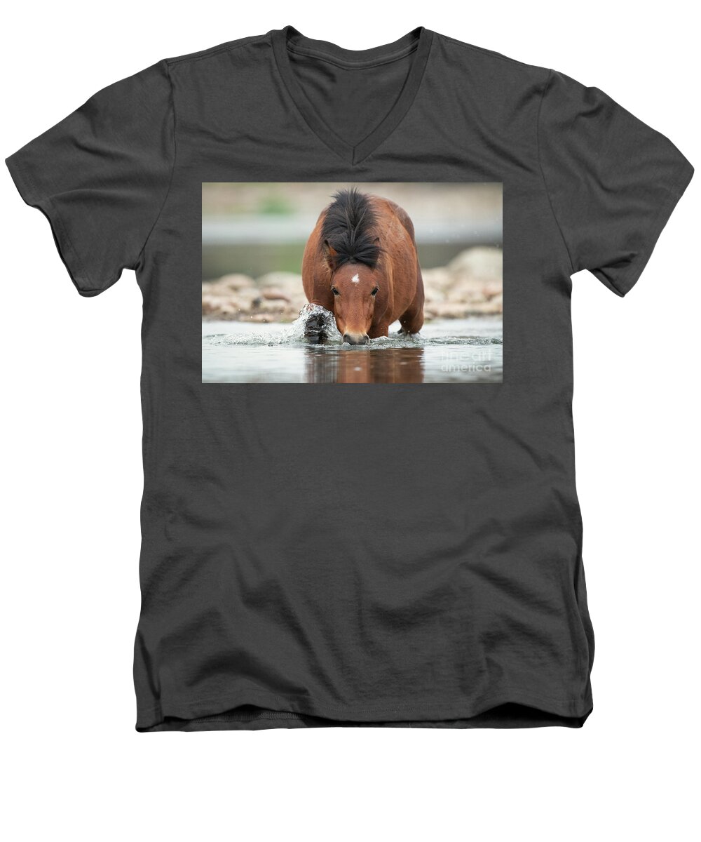 Salt River Wild Horse Men's V-Neck T-Shirt featuring the photograph Shark by Shannon Hastings