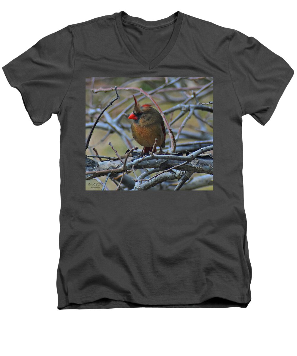 Female Cardinal Men's V-Neck T-Shirt featuring the photograph She's in Charge by Dorrene BrownButterfield