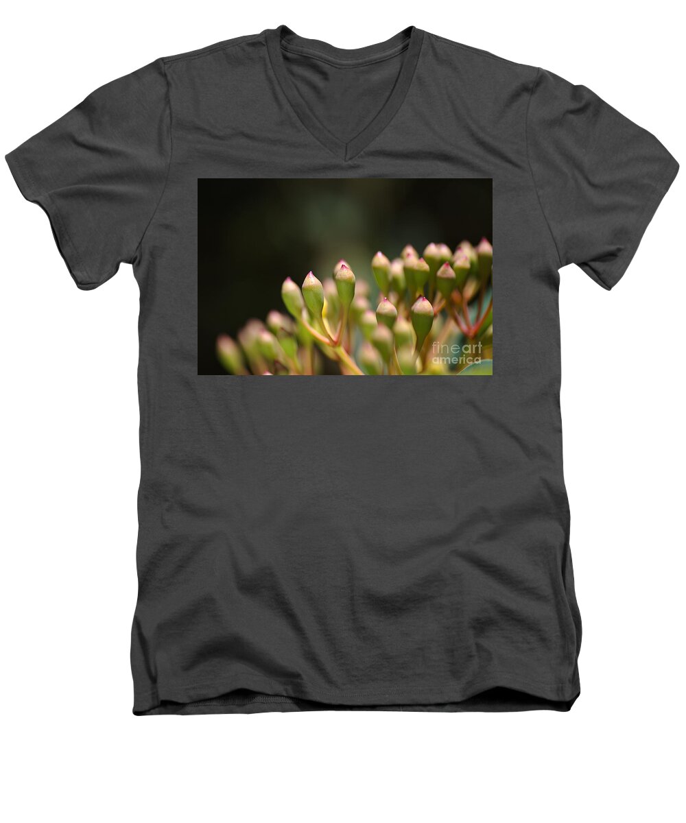 Corymbia Ficifolia Men's V-Neck T-Shirt featuring the photograph Short Pencils Eucalyptus Buds by Joy Watson