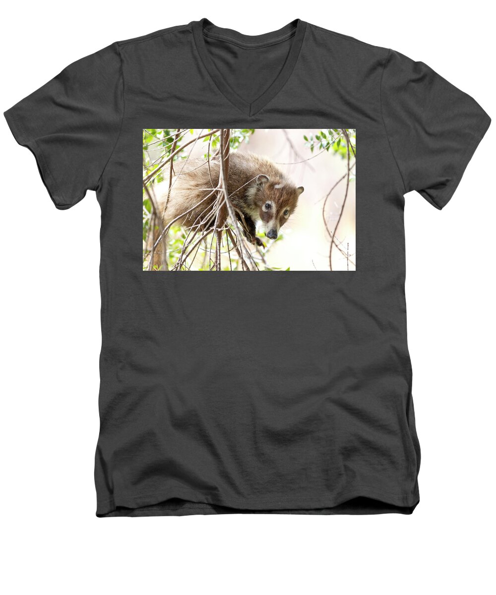 Coati Men's V-Neck T-Shirt featuring the photograph Shy Guy Coati by Sue Cullumber