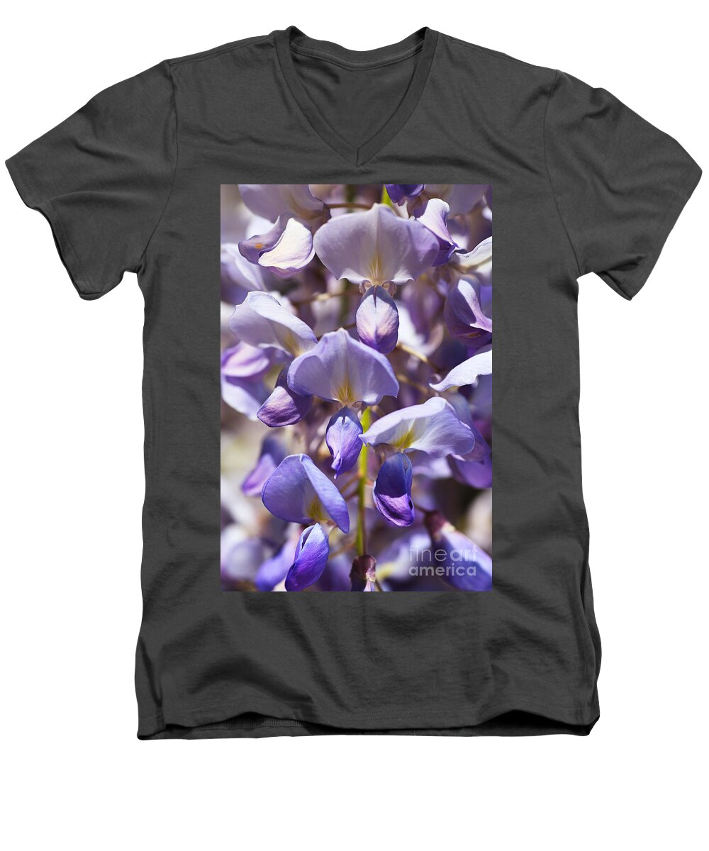 Acanthaceae Men's V-Neck T-Shirt featuring the photograph Spring Magical Wisteria by Joy Watson