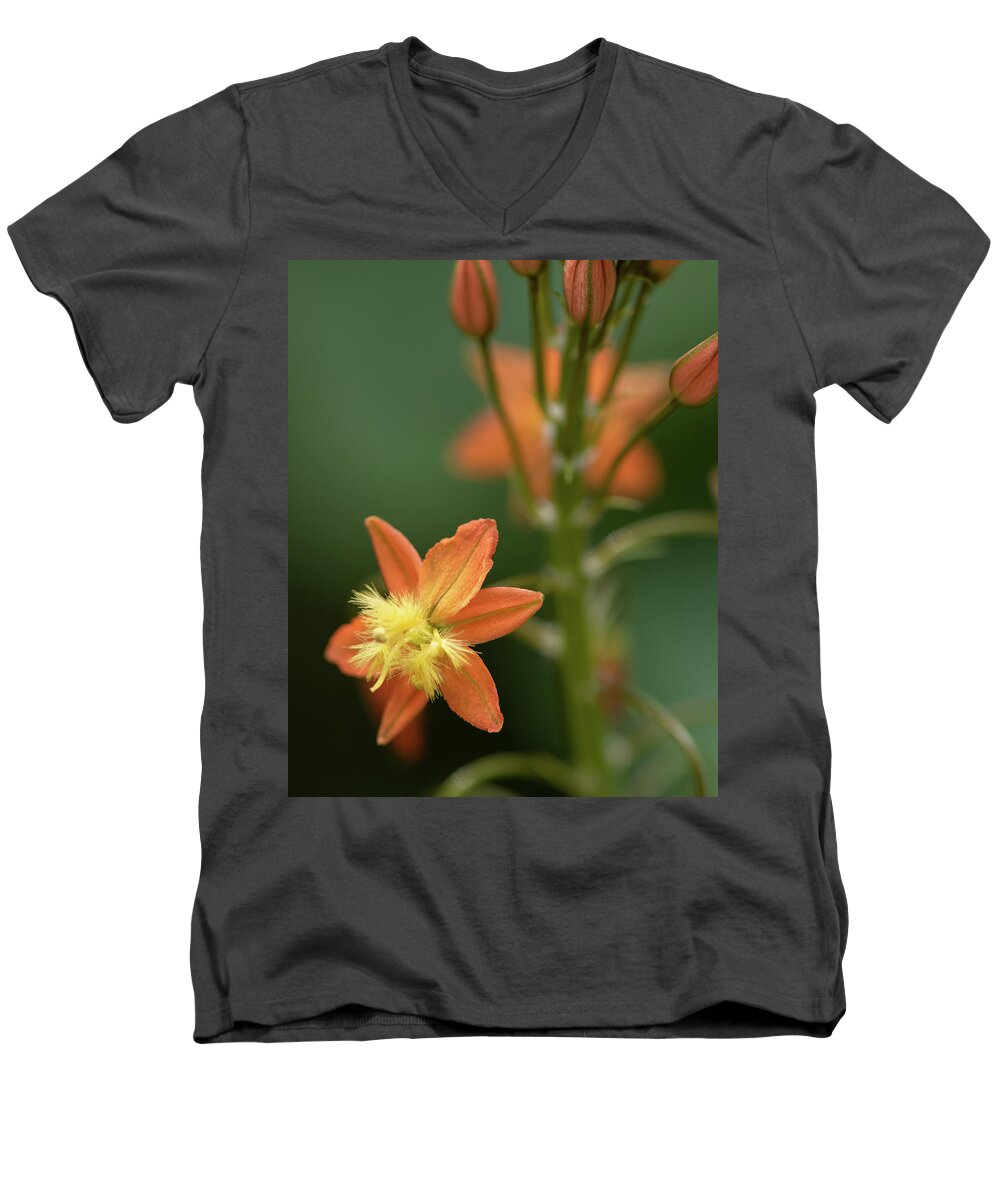 Macro Men's V-Neck T-Shirt featuring the photograph Star Light by Laura Macky