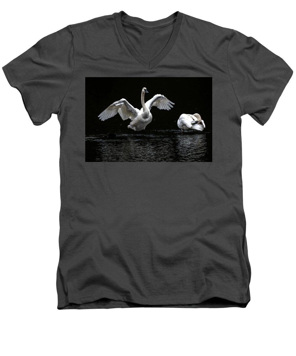 Swans Men's V-Neck T-Shirt featuring the photograph Swans on the Lake by Jerry Cahill