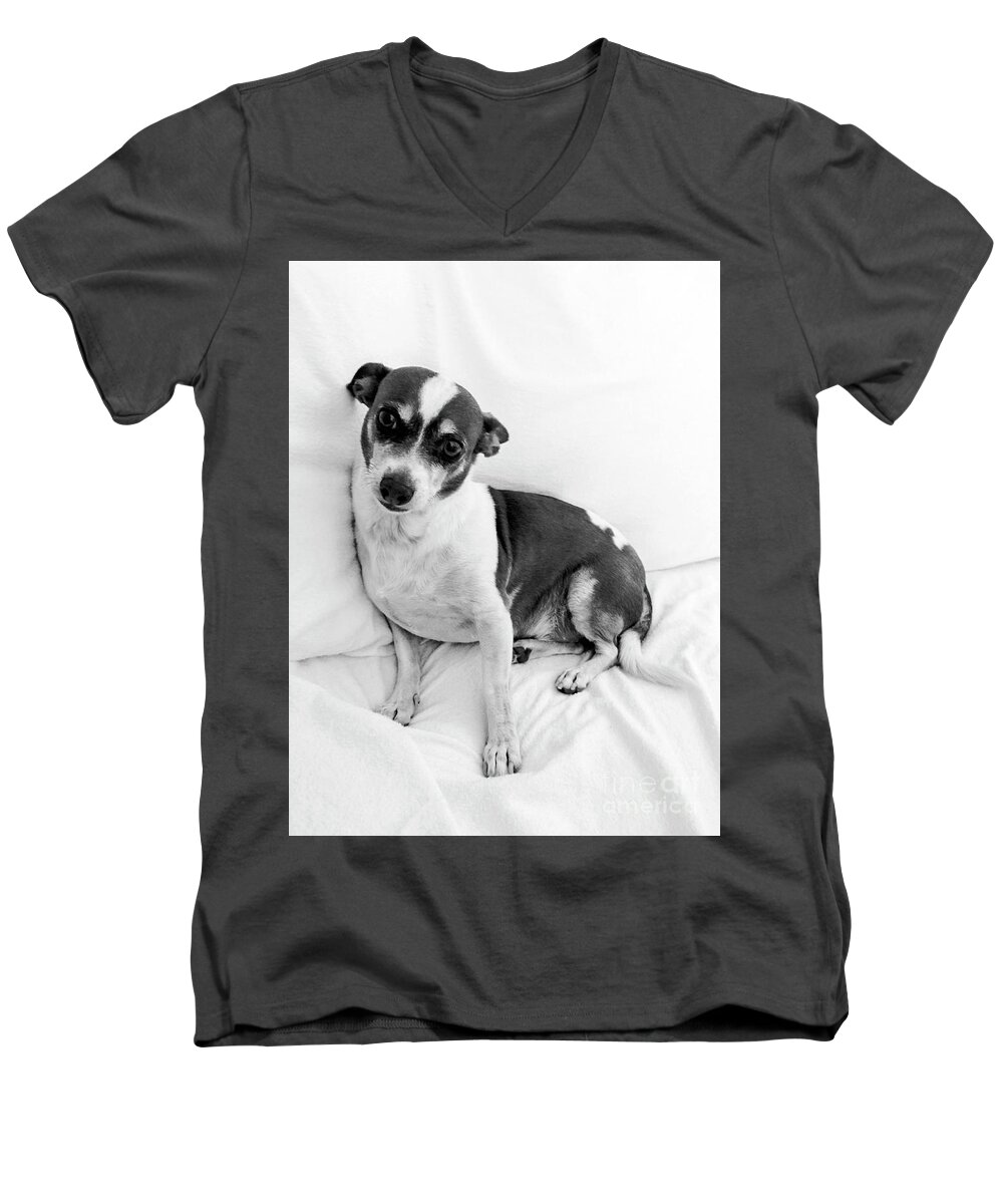 Rbbroussard Men's V-Neck T-Shirt featuring the photograph Sweet Lucky by Roselynne Broussard