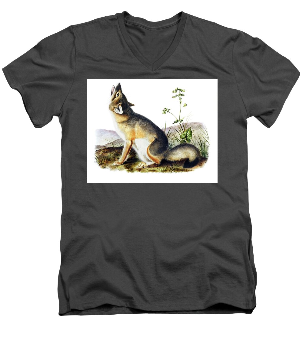 Swift Fox Men's V-Neck T-Shirt featuring the drawing Swift Fox by John Woodhouse Audubon