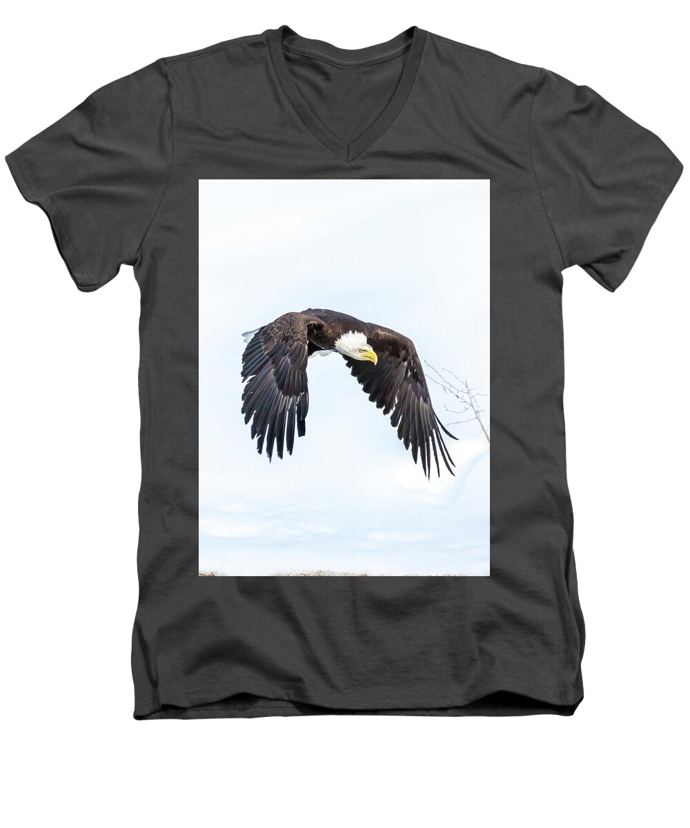 Eagle Men's V-Neck T-Shirt featuring the photograph Test 2 by Kevin Dietrich