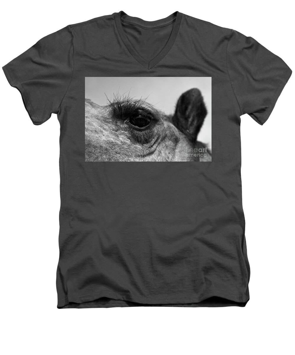 Craig Lovell Men's V-Neck T-Shirt featuring the photograph The Camels Eye by Craig Lovell
