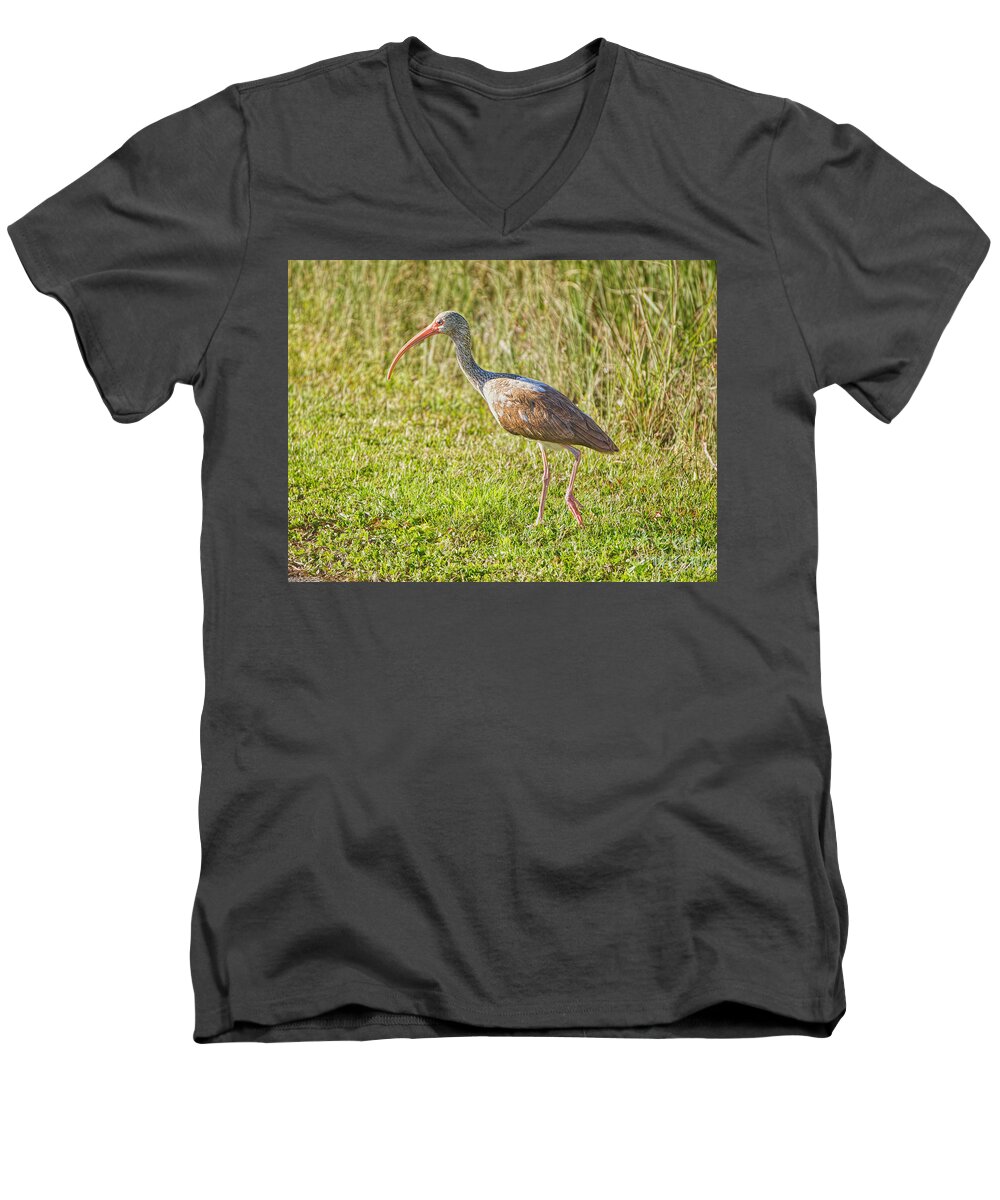 Birds Men's V-Neck T-Shirt featuring the photograph The Juvenile by Judy Kay