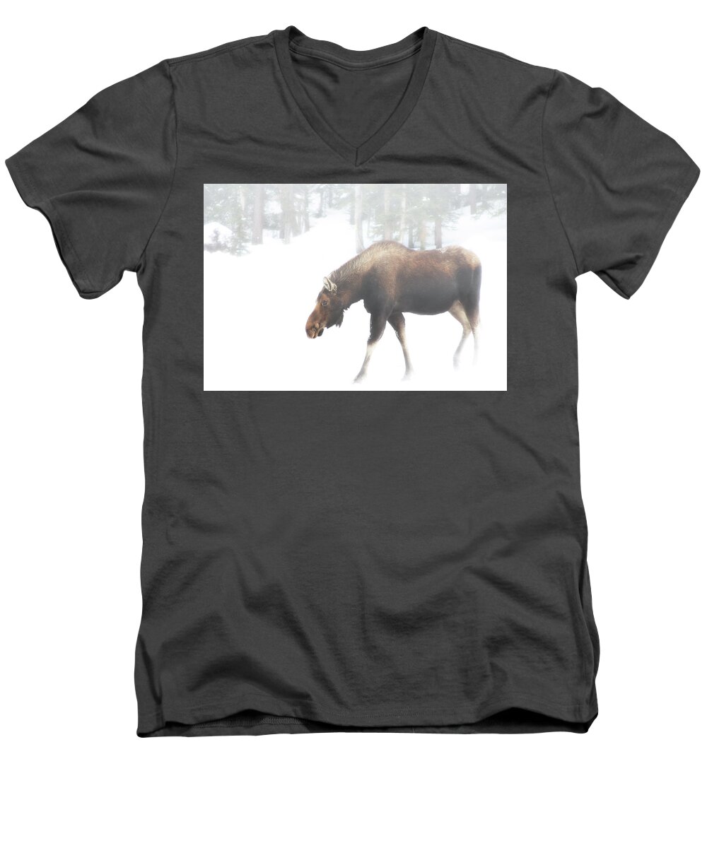 Moose Men's V-Neck T-Shirt featuring the photograph The Winter Moose by Brian Gustafson