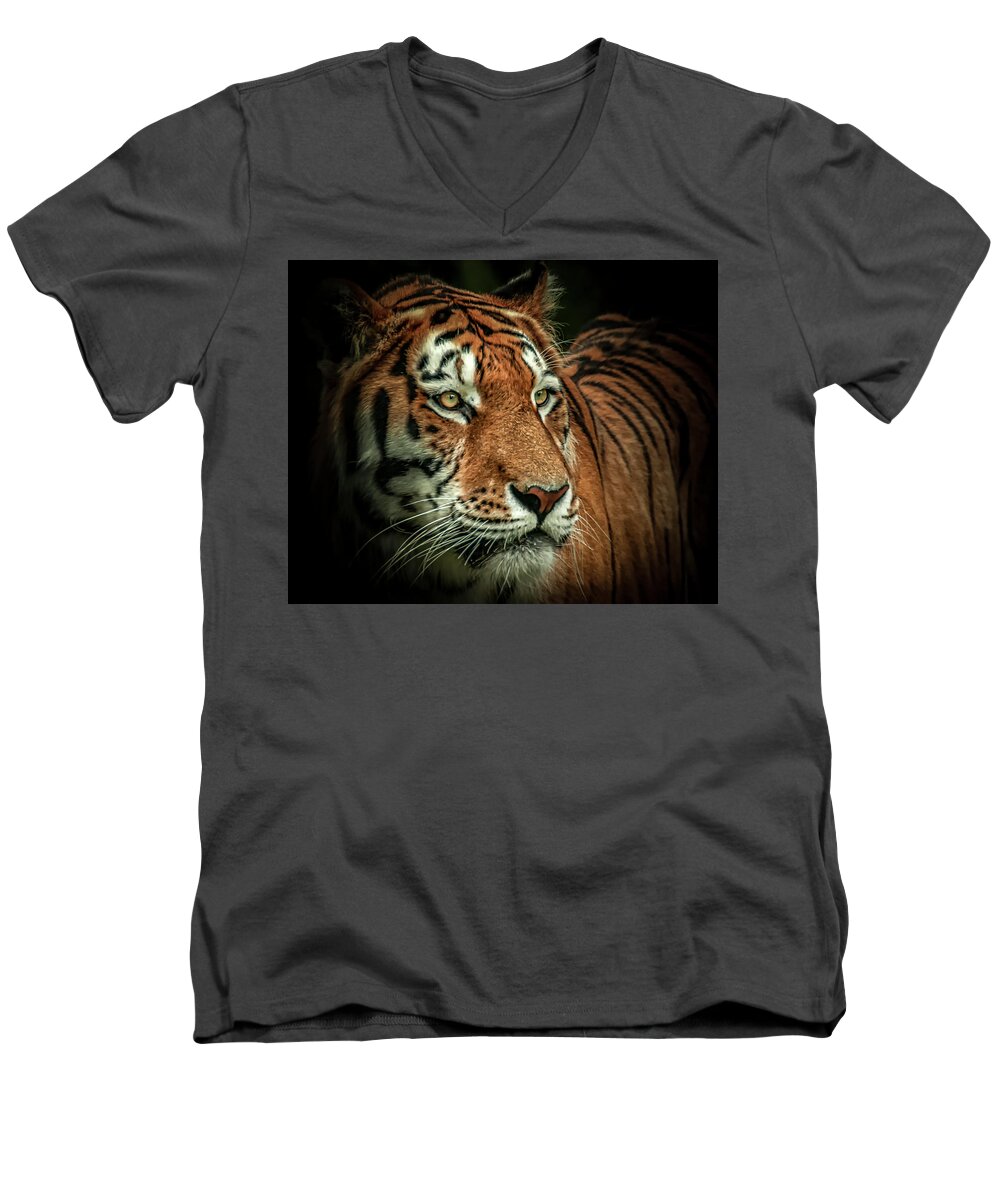 Tiger Men's V-Neck T-Shirt featuring the photograph Tiger by Chris Boulton