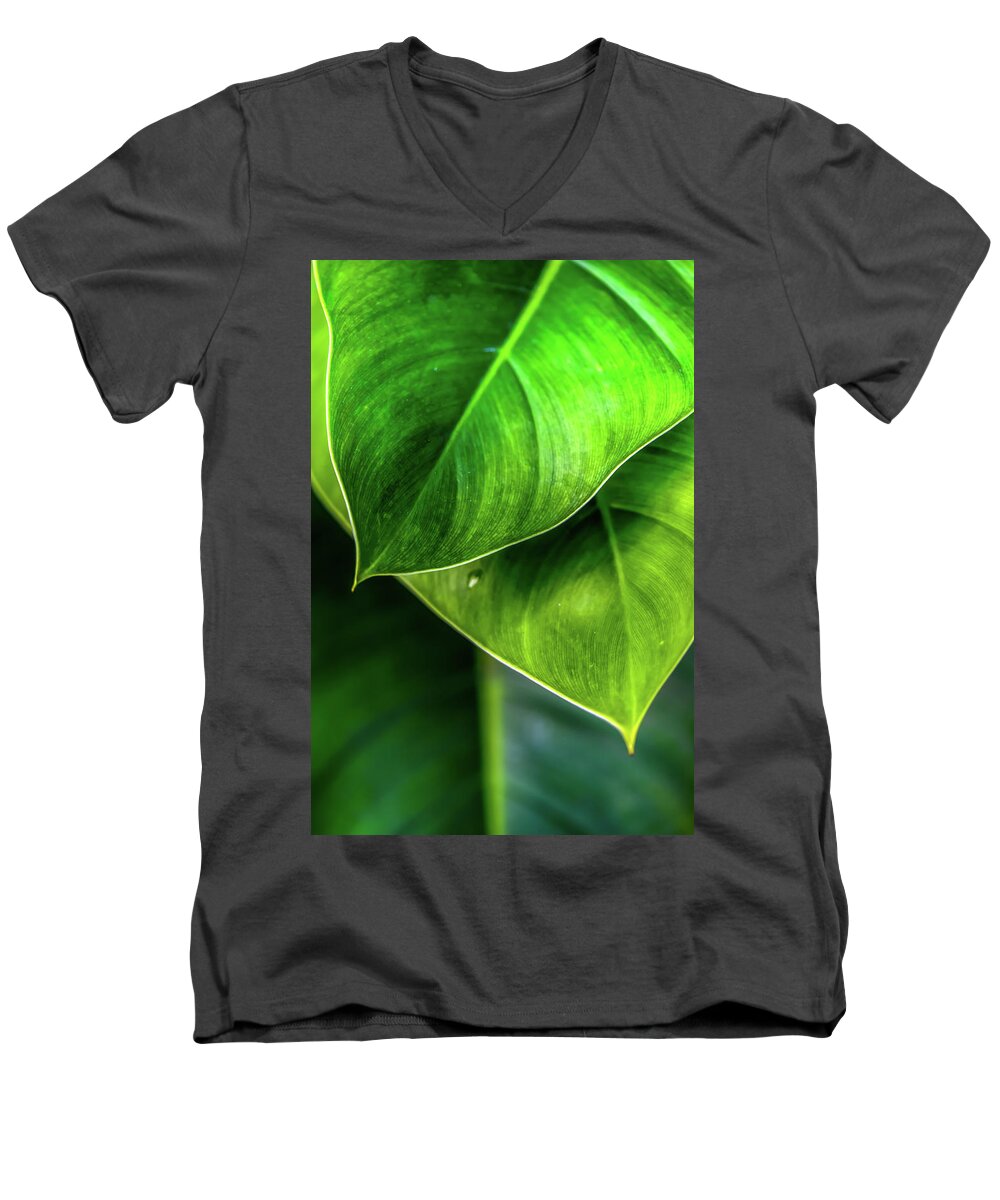2 Green Leaves Men's V-Neck T-Shirt featuring the photograph Two For Tea by Az Jackson