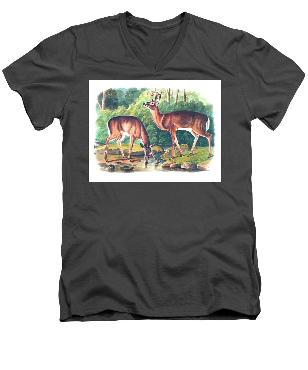 Virginian Deer Men's V-Neck T-Shirt featuring the drawing Virginian Deer by John Woodhouse Audubon