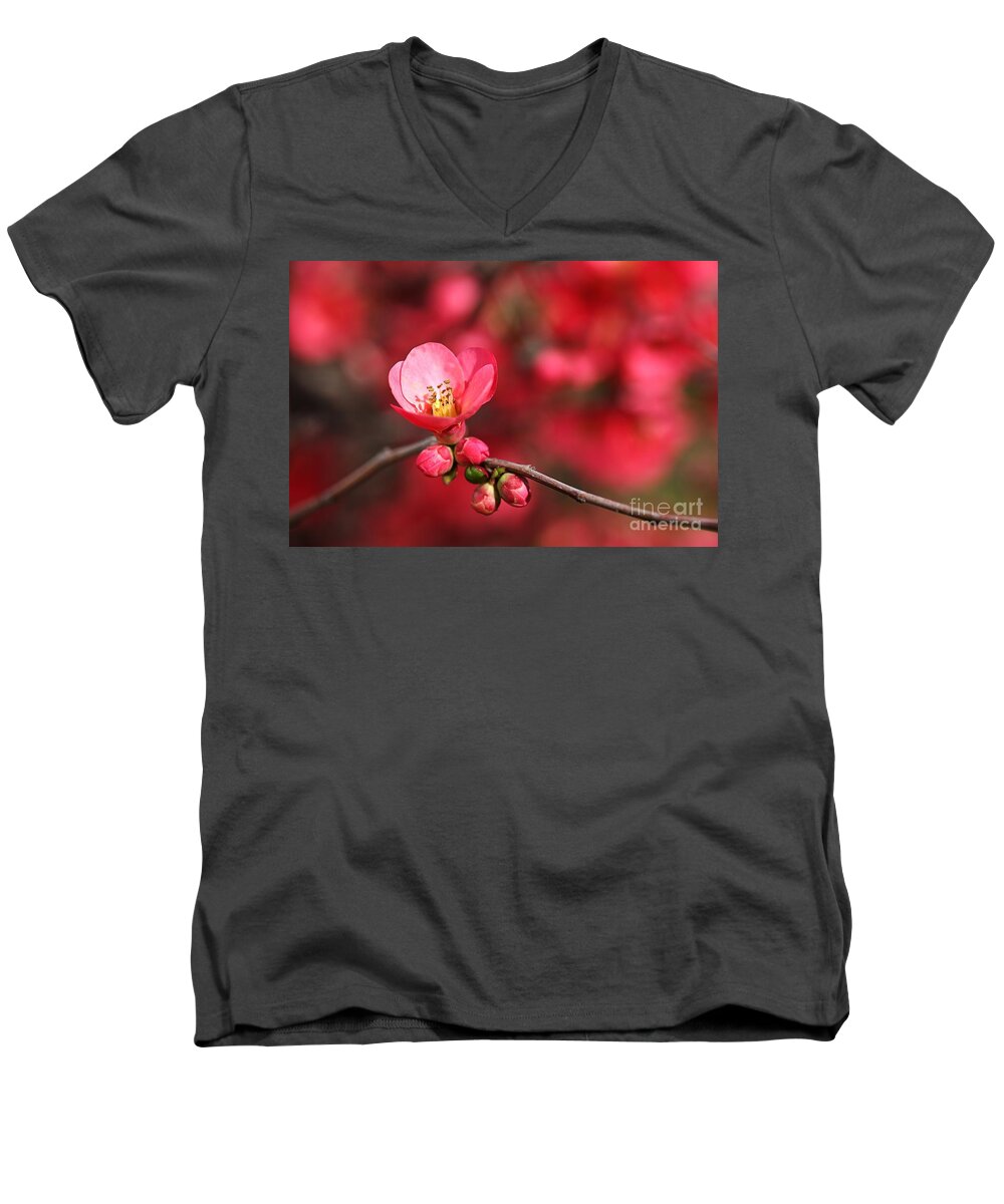 Flowering Quince Men's V-Neck T-Shirt featuring the photograph Warmth Of Flowering Quince by Joy Watson