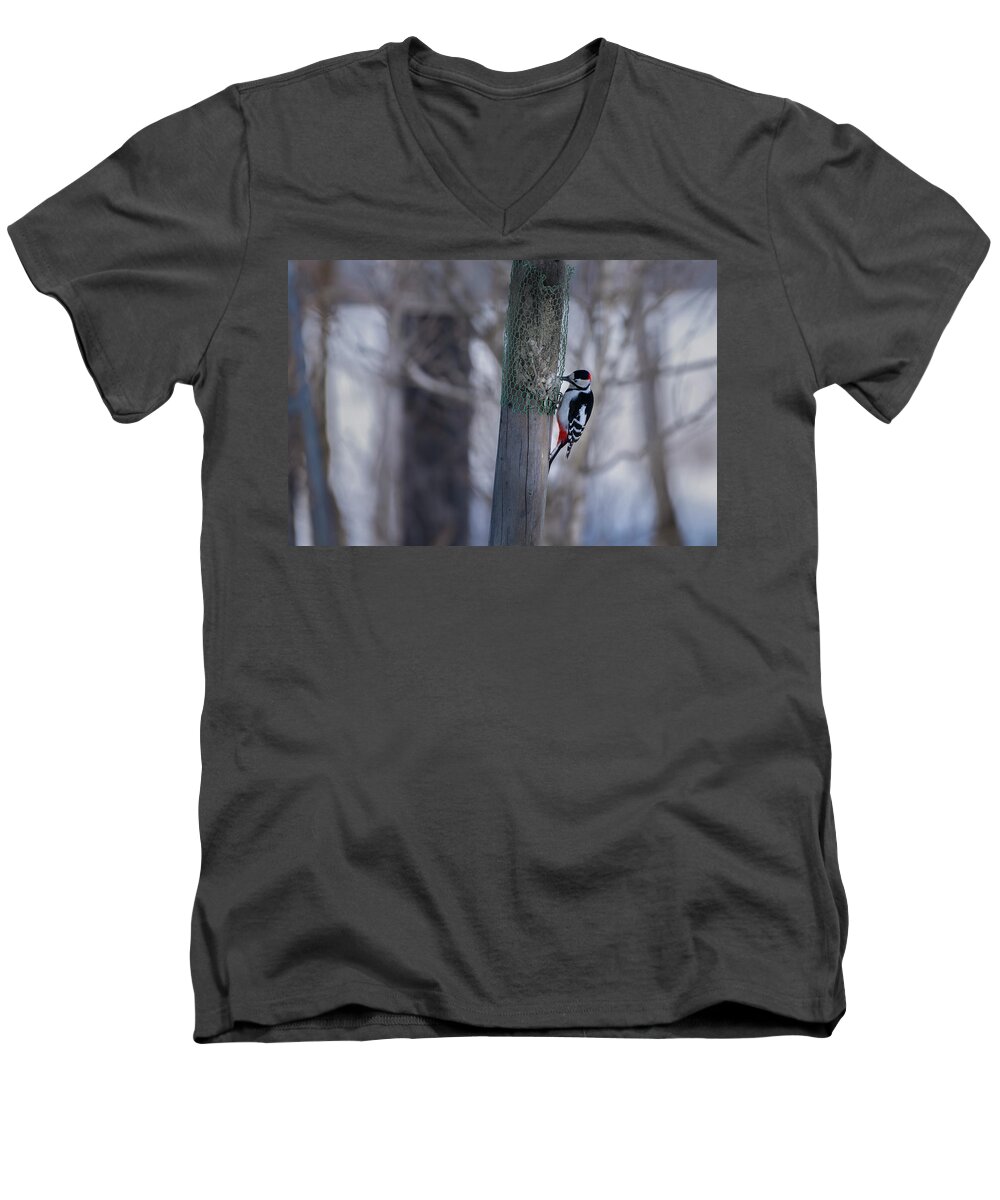 Animal Men's V-Neck T-Shirt featuring the photograph White backed woodpecker by Kiran Joshi