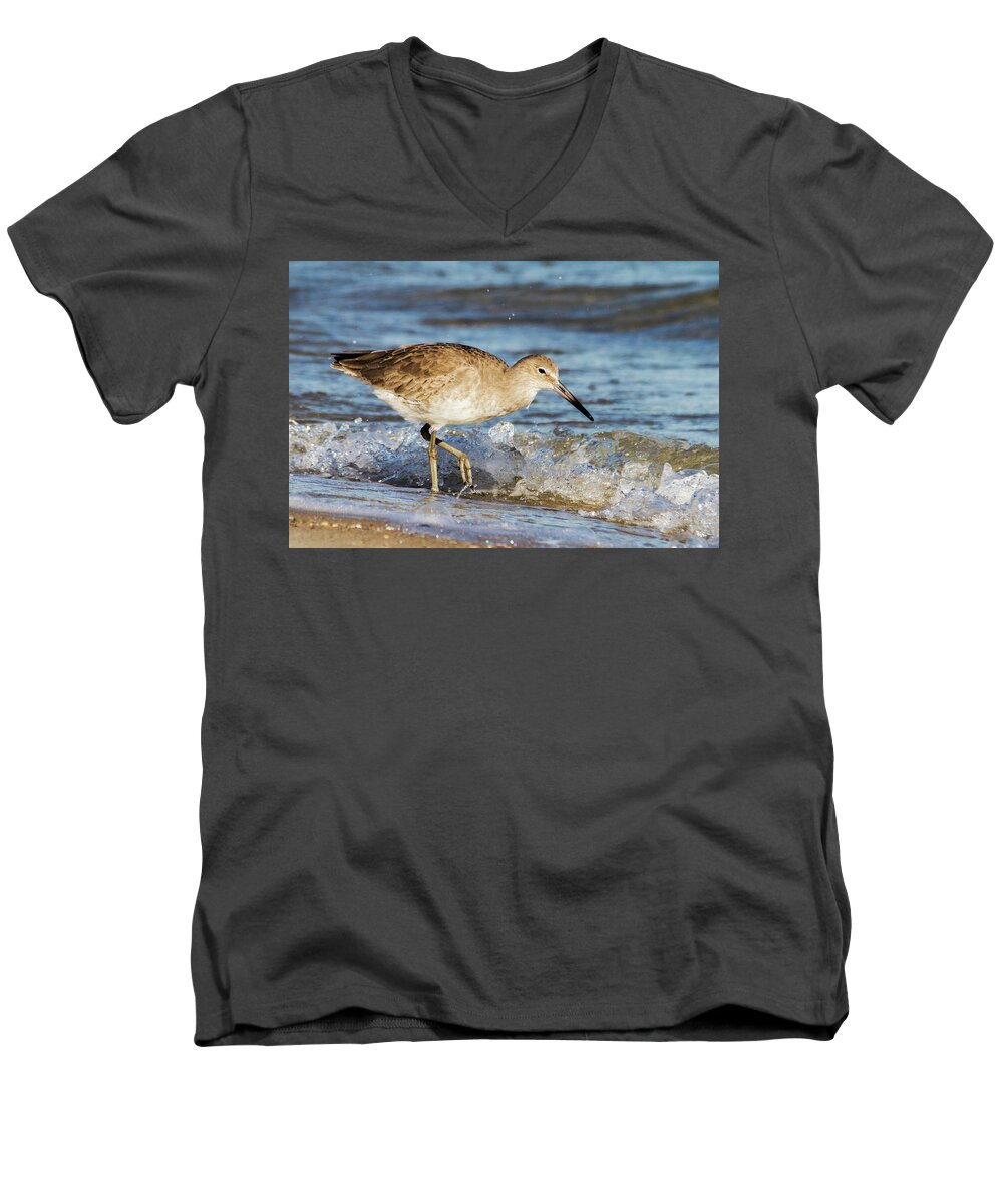 Willet Men's V-Neck T-Shirt featuring the photograph Willet in the Surf by Bob Decker