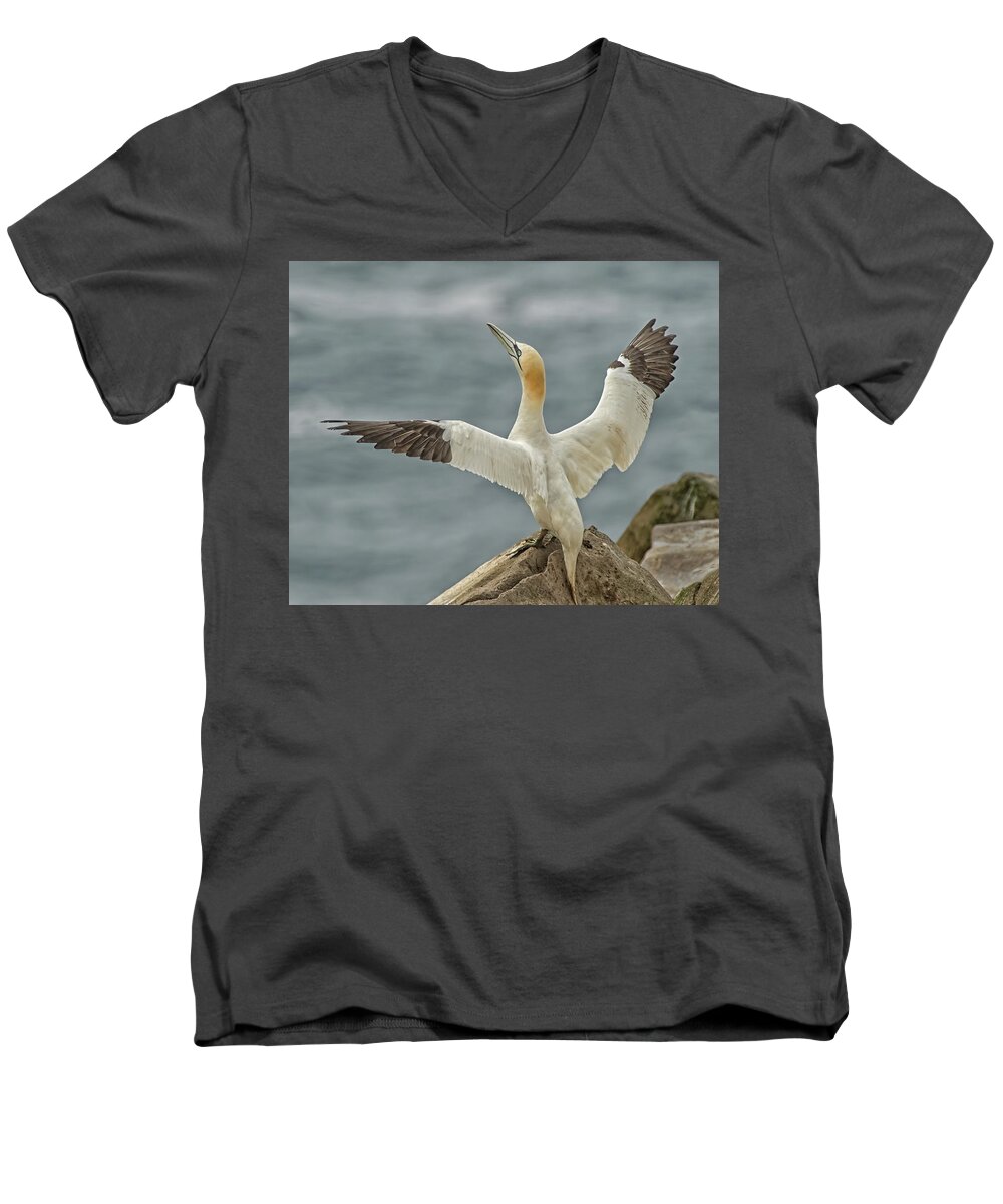 Wing Flap Men's V-Neck T-Shirt featuring the photograph Wing Flap by CR Courson
