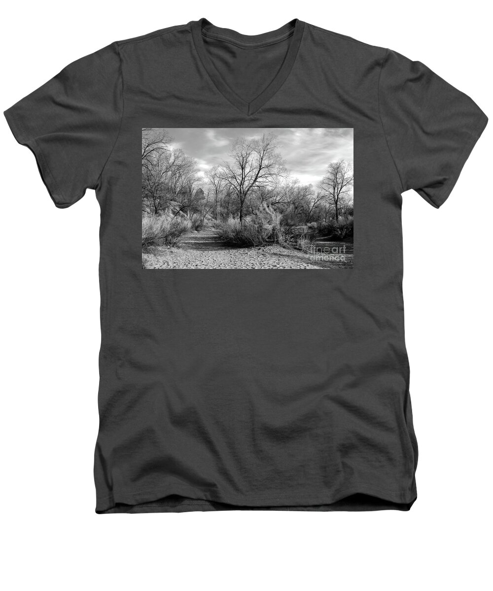 Rbbroussard Men's V-Neck T-Shirt featuring the photograph Winter Arroyo by Roselynne Broussard