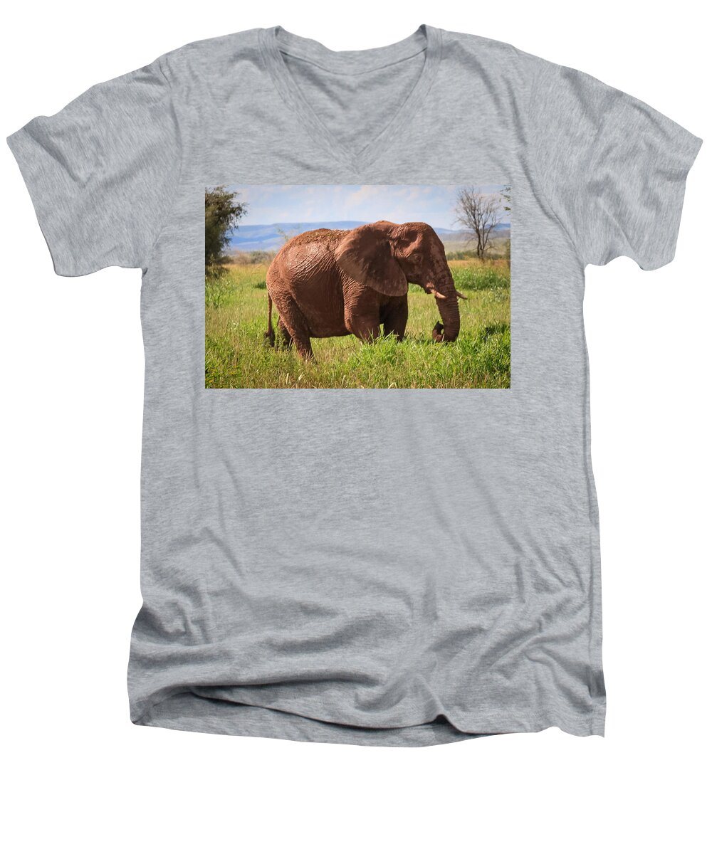 Namibia Men's V-Neck T-Shirt featuring the photograph African Desert Elephant #1 by Gregory Daley MPSA