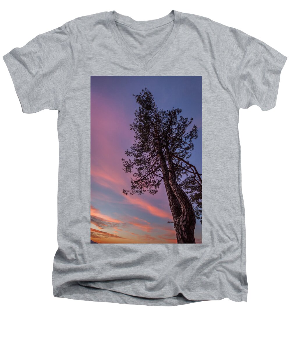Tree Men's V-Neck T-Shirt featuring the photograph Awakening #1 by Davorin Mance
