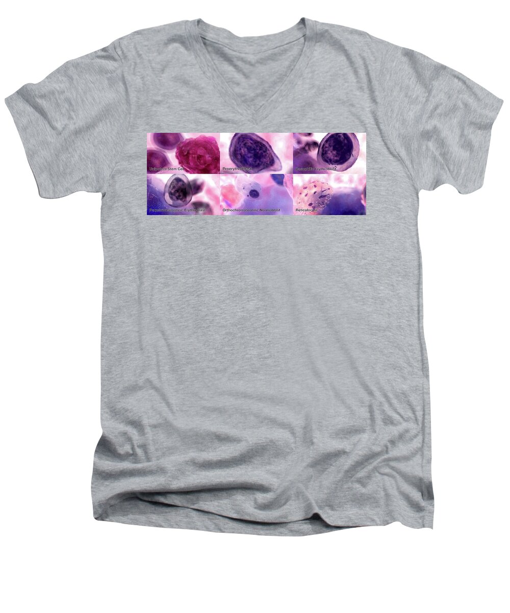 3d Visualization Men's V-Neck T-Shirt featuring the photograph Erythropoiesis #1 by Anatomical Travelogue