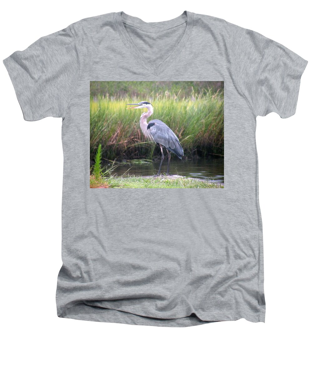 Heron Men's V-Neck T-Shirt featuring the photograph Great Blue Heron #1 by Kim Bemis