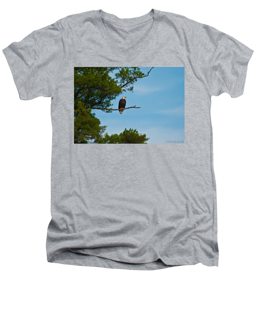 Bald Eagle Men's V-Neck T-Shirt featuring the photograph Out on a Limb #1 by Brenda Jacobs