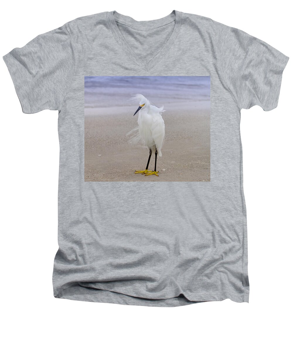 Egret Men's V-Neck T-Shirt featuring the photograph Snowy Egret at the Beach by Kim Hojnacki