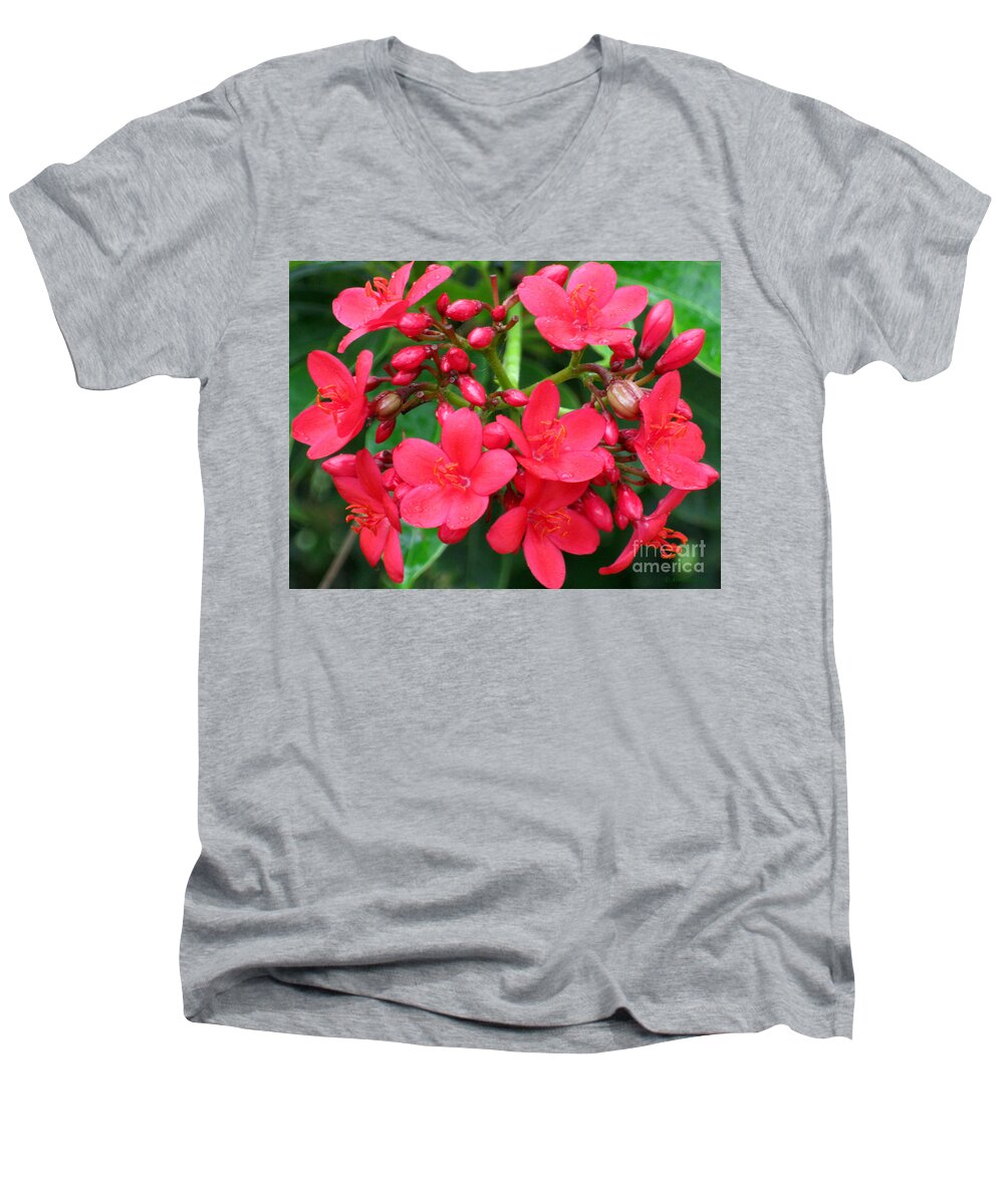 Spring Men's V-Neck T-Shirt featuring the photograph Lovely Spring Flowers by Oksana Semenchenko