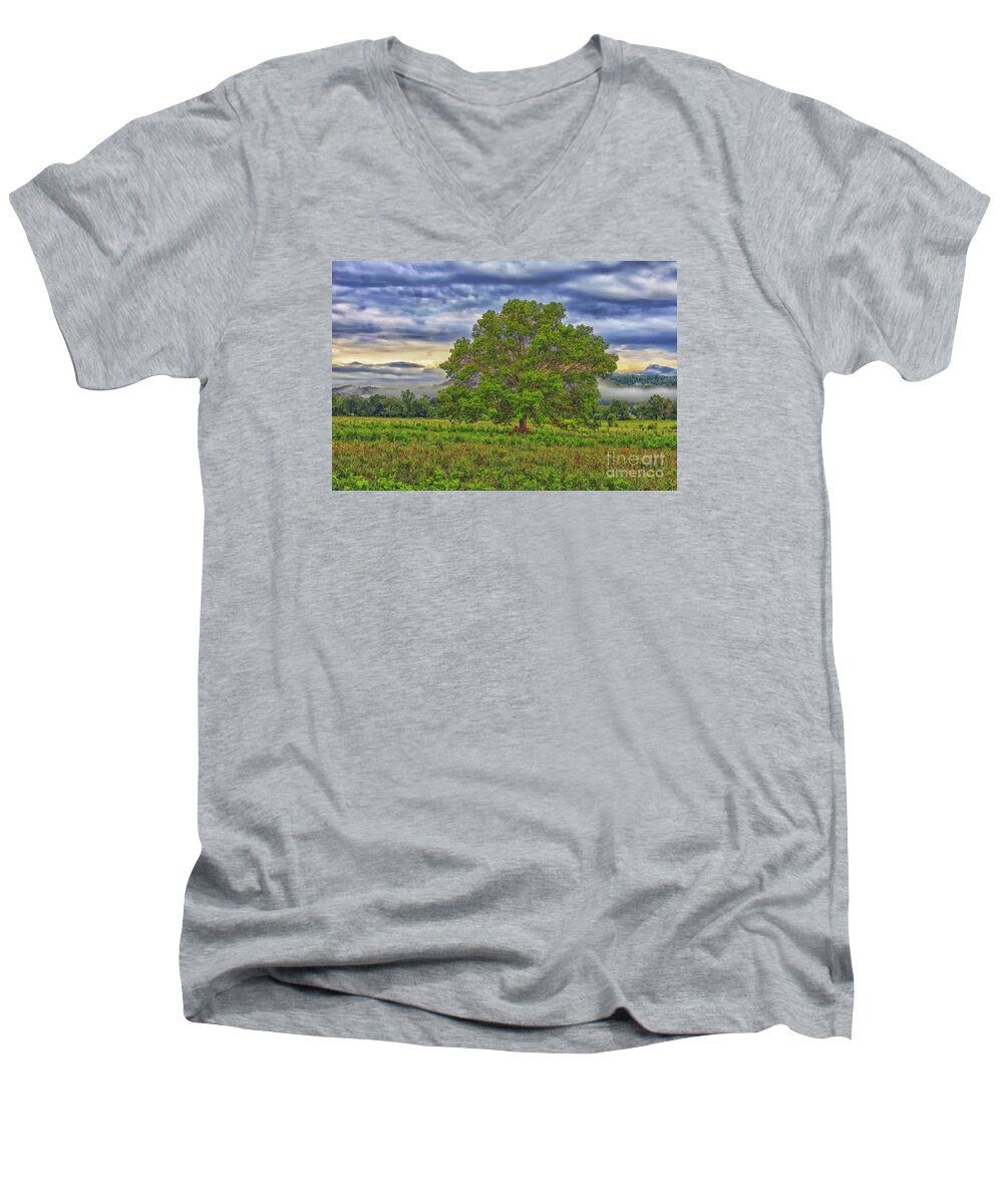 Cades Cove Tree Men's V-Neck T-Shirt featuring the photograph The Tree by Geraldine DeBoer