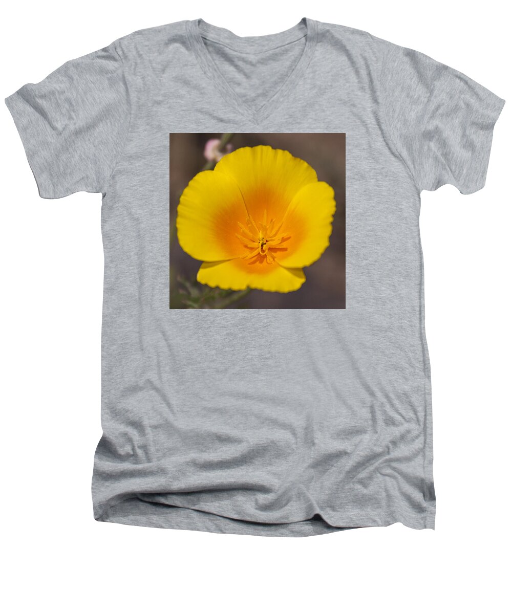 California Poppy Men's V-Neck T-Shirt featuring the photograph California Sunshine by Caitlyn Grasso