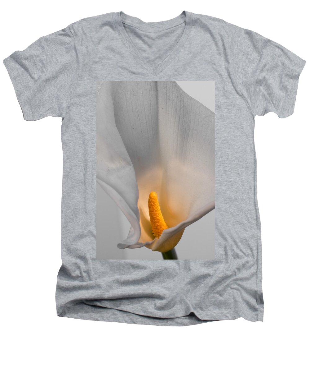 Flower Men's V-Neck T-Shirt featuring the photograph Calla Lily #5 by Alexander Fedin