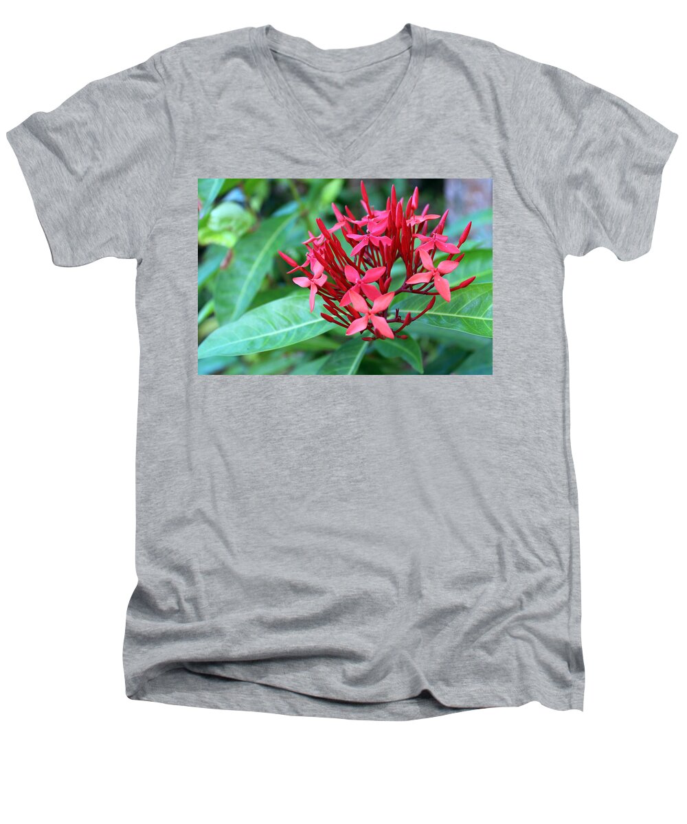 Flowers Men's V-Neck T-Shirt featuring the photograph Jamaican Red #2 by Samantha Delory