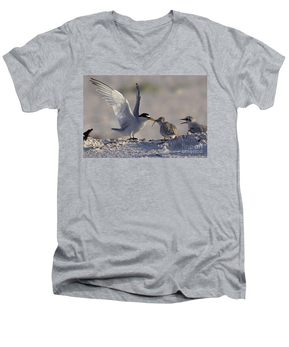 Least Tern Men's V-Neck T-Shirt featuring the photograph Least Tern feeding it's young #2 by Meg Rousher