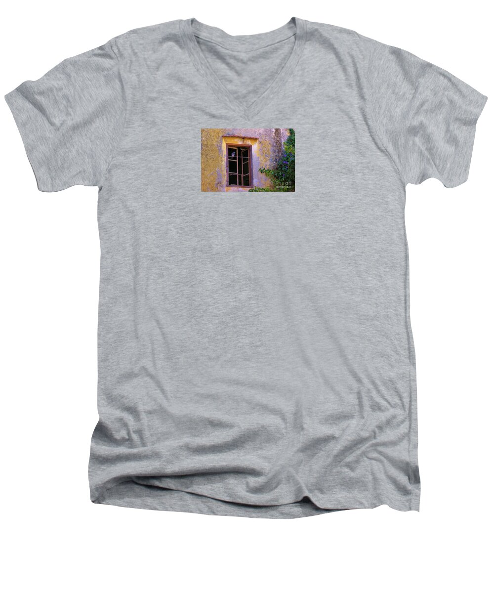 Pigeons Men's V-Neck T-Shirt featuring the photograph Pigeons and Morning Glories by Michele Penner