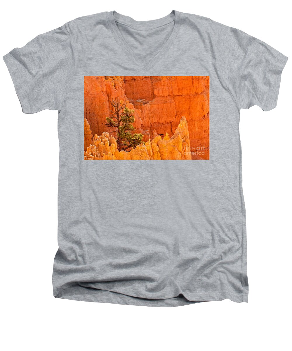 Bryce Canyon Men's V-Neck T-Shirt featuring the photograph Sunset Point Bryce Canyon National Park #2 by Fred Stearns