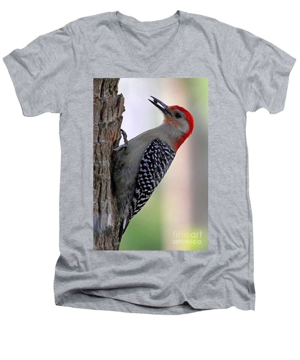 Red-bellied Woodpecker Men's V-Neck T-Shirt featuring the photograph Red Bellied Woodpecker #1 by Meg Rousher