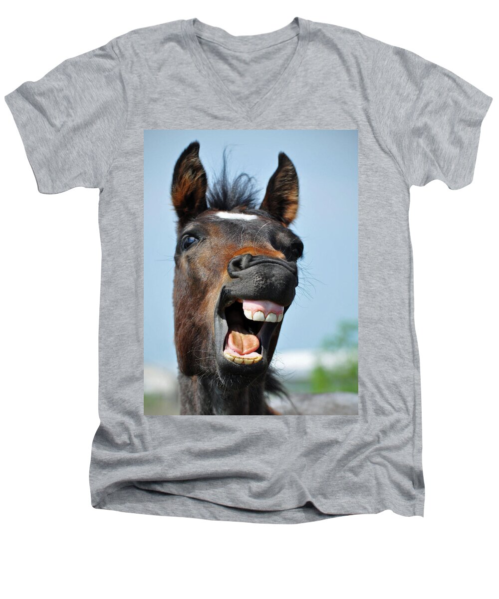 Equine Men's V-Neck T-Shirt featuring the photograph Horse #3 by Savannah Gibbs