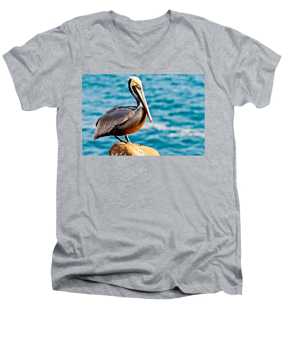 Pelican Men's V-Neck T-Shirt featuring the photograph Brown Pelican #6 by Ben Graham